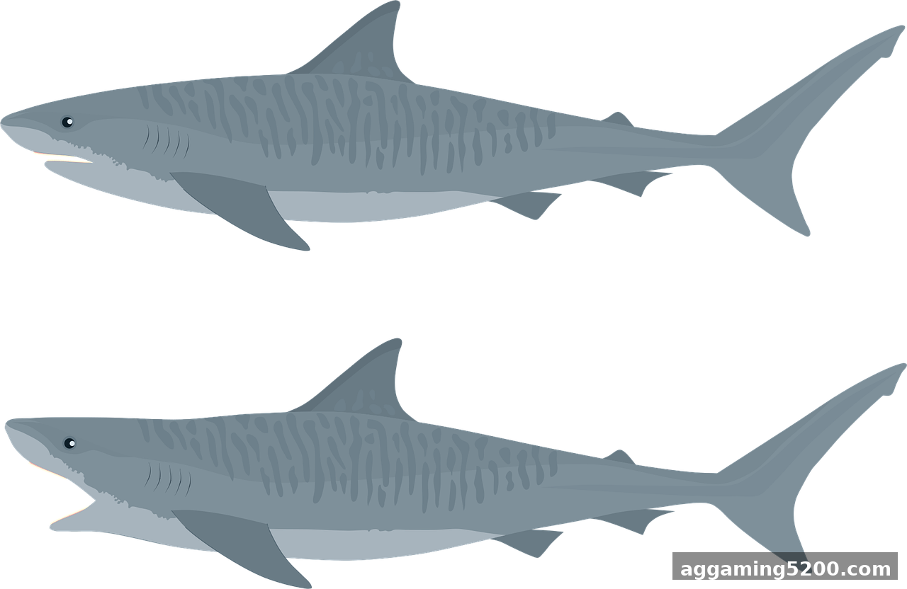 21点策略甲由路2025白金版-21点策略甲由路正版手机APP入口/IOS苹果/安卓官方下载